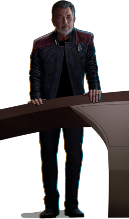 Bridge Riker