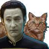 Data and Spot Head.png