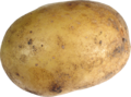 Potato-1280x946.png